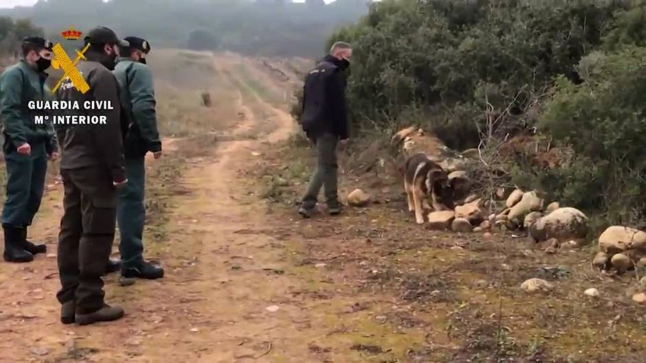 Guardia Civil busca cebos envenenados en La Rioja