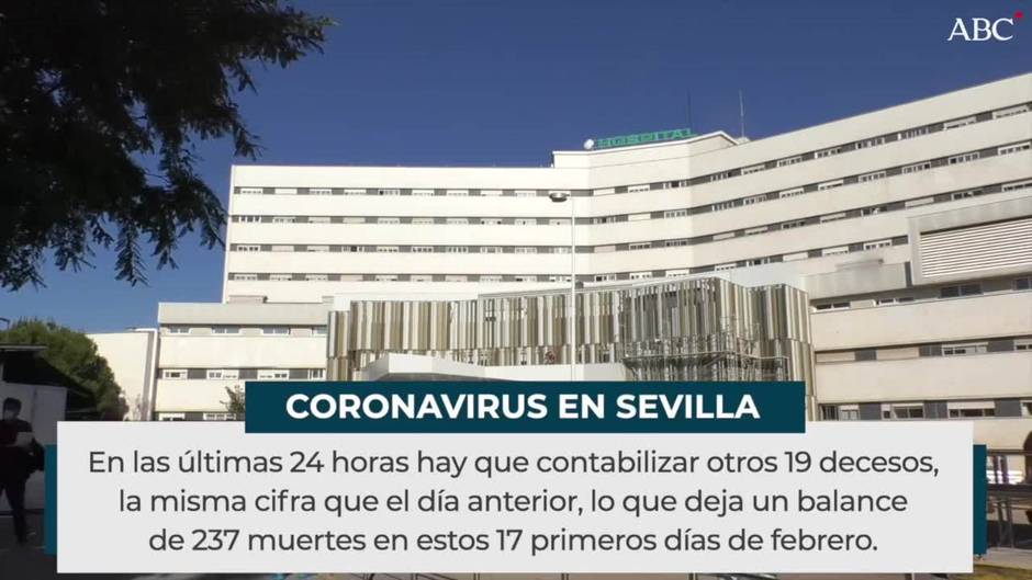 Continúa el descenso de contagios en Sevilla, que suma 19 muertos en la última jornada