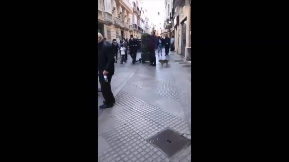 Topolinos gratis en Los italianos de Cádiz