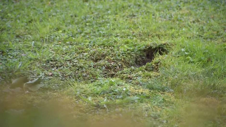 Un hombre mata a su madre y se suicida en Aluche (Madrid)