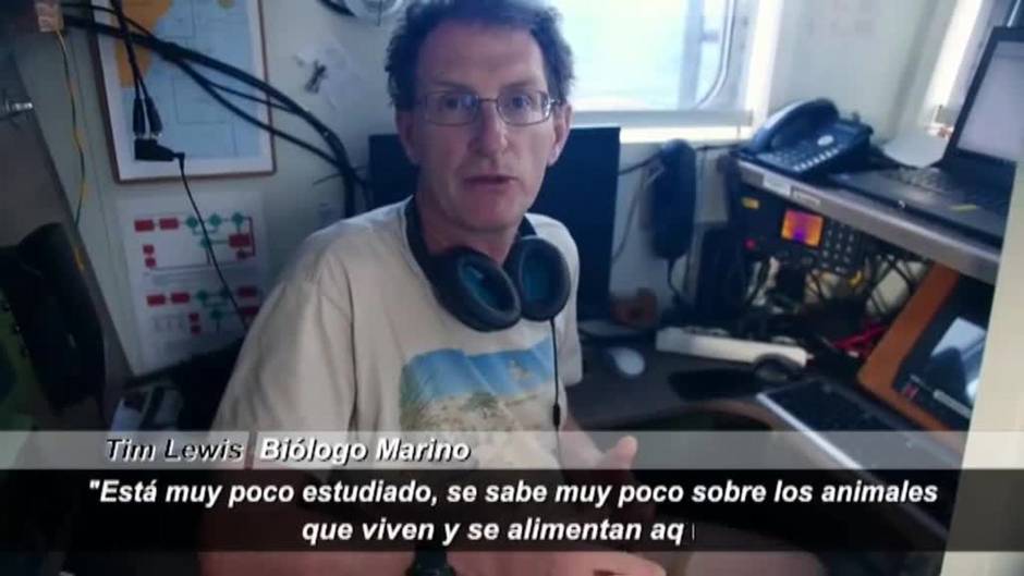 Los avistamientos de ballenas ayudan a proteger la vida silvestre en el Océano Índico