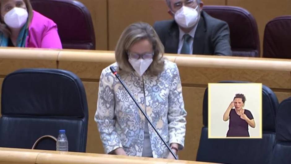 Calviño defiende que se usaron criterios objetivos para el plan de ayudas