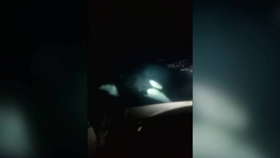 Cuatro orcas atacan un velero en el Estrecho de Gibraltar