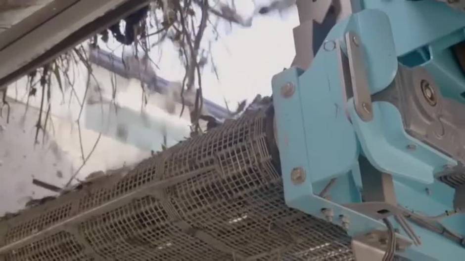 Coldplay invierte en la limpieza del río Klang en Malasia