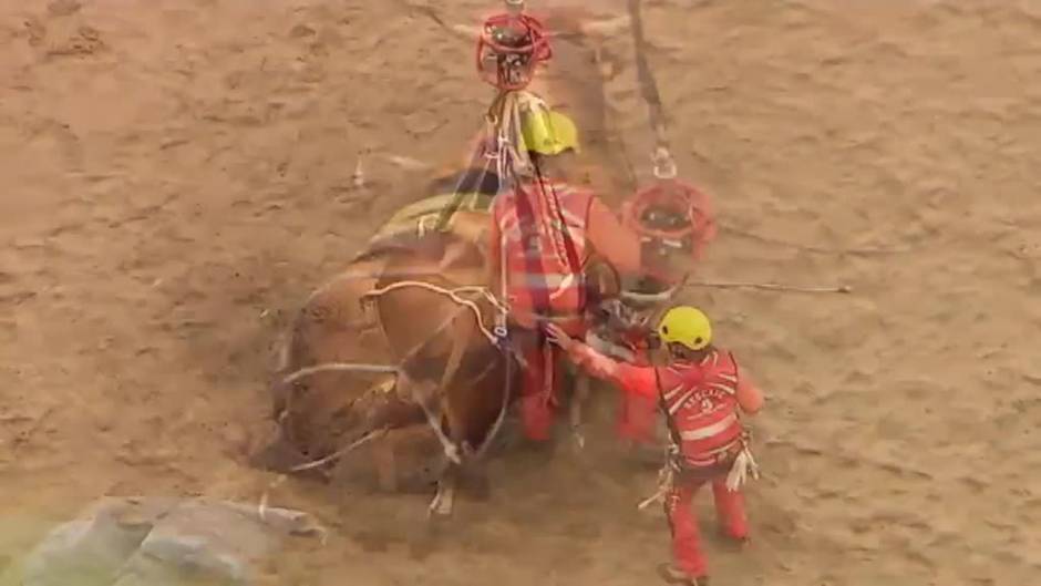 Rescatan en helicóptero a un toro varado en una playa de Asturias