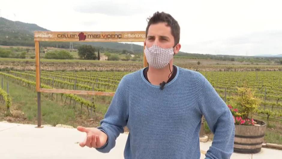 El sector del vino sufre las consecuencias económicas de las restricciones a la hostelería