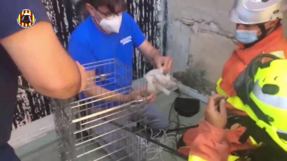 Bomberos rescatan a un gatito atrapado en una bajante de agua