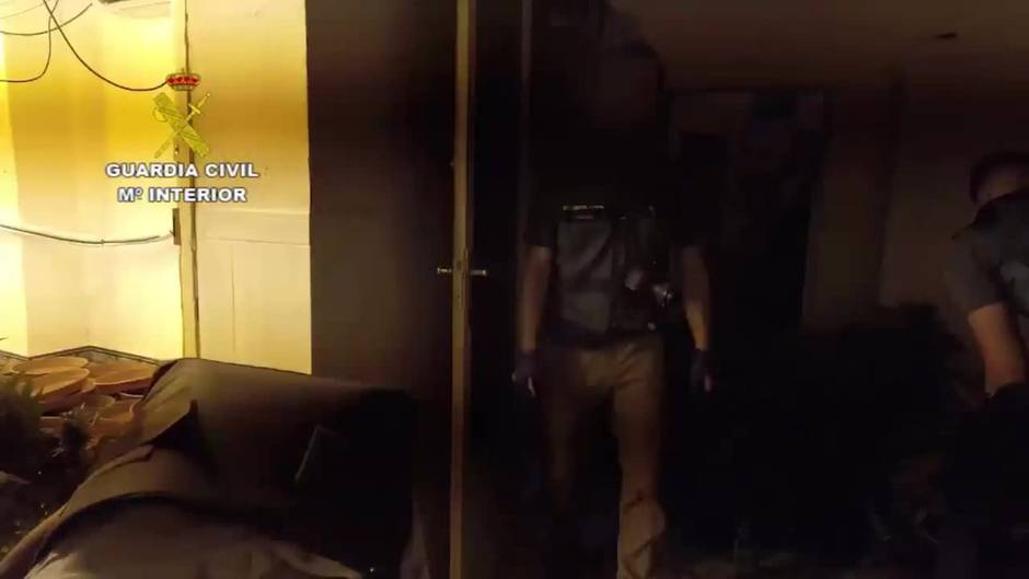 Detenidos 4 miembros de un clan familiar dedicado al cultivo de droga