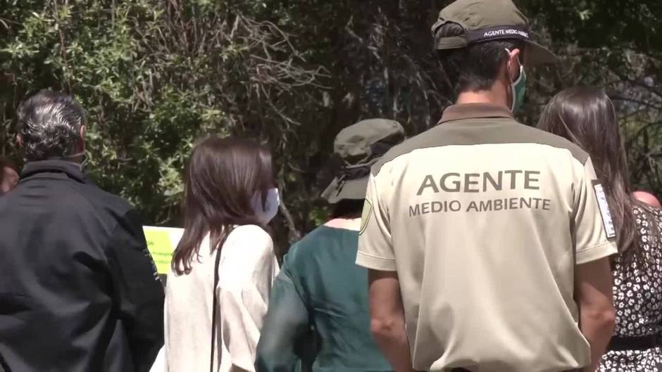 La Junta moviliza casi diez millones de euros en actuaciones forestales en Sierra Nevada