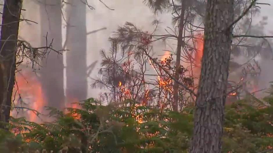 Un rayo origina un grave incendio en la localidad pontevedresa de Salvaterra do Miño