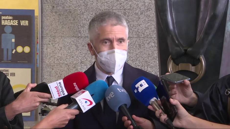 Marlaska insiste en que están "abiertas todas las hipótesis" en el caso de Samuel