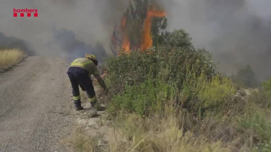 Controlado el incendio de la Pobla de Massaluca tras quemar 63 hectáreas