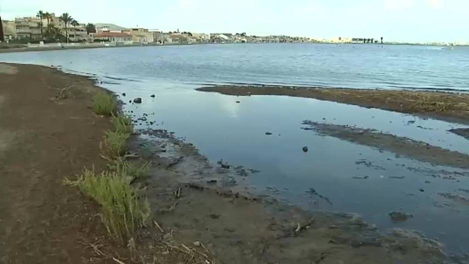 Una cadena humana denuncia el desastre ecológico en el Mar Menor y exige soluciones