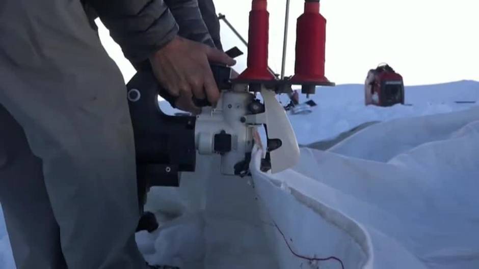 Un escudo protector natural para proteger las laderas y glaciares de los Alpes suizos