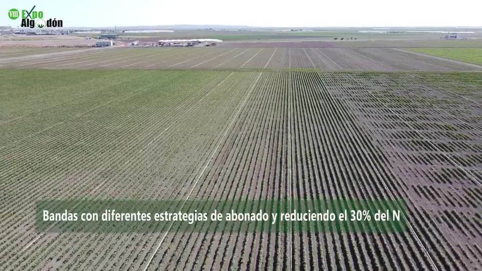 La fórmula del fertilizante más respetuosos con los cultivos y el medio ambiente