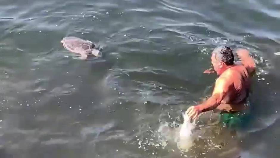 Los terribles efectos de la contaminación en Río de Janeiro