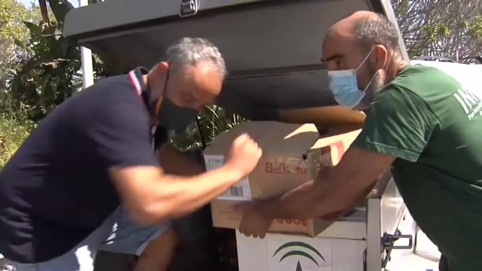 Máxima tensión en Sierra Bermeja por la reactivación del incendio que ya ha quemado más de seis mil hectáreas