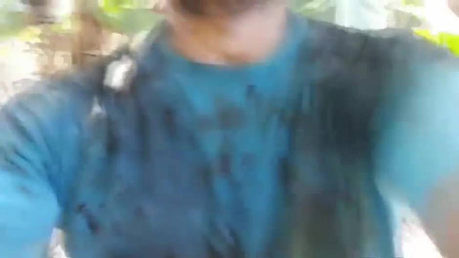 Los agricultores de La Palma piden precios justos para el plátano