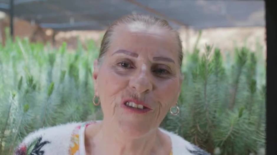 Una abuela mexicana combate el cambio climático plantando más de un millón de árboles en una década