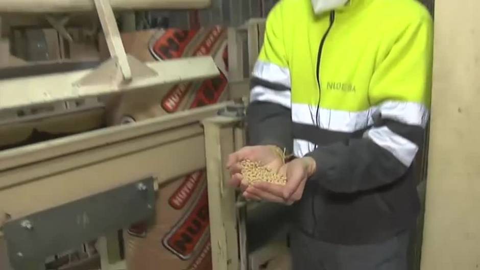 La subida de la luz, las materias primas y el combustible pone en jaque a los ganaderos