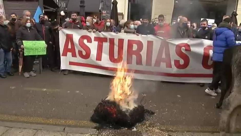 Tractores y animales colapsan el centro de Oviedo en protesta por las condiciones de ganaderos y agricultores