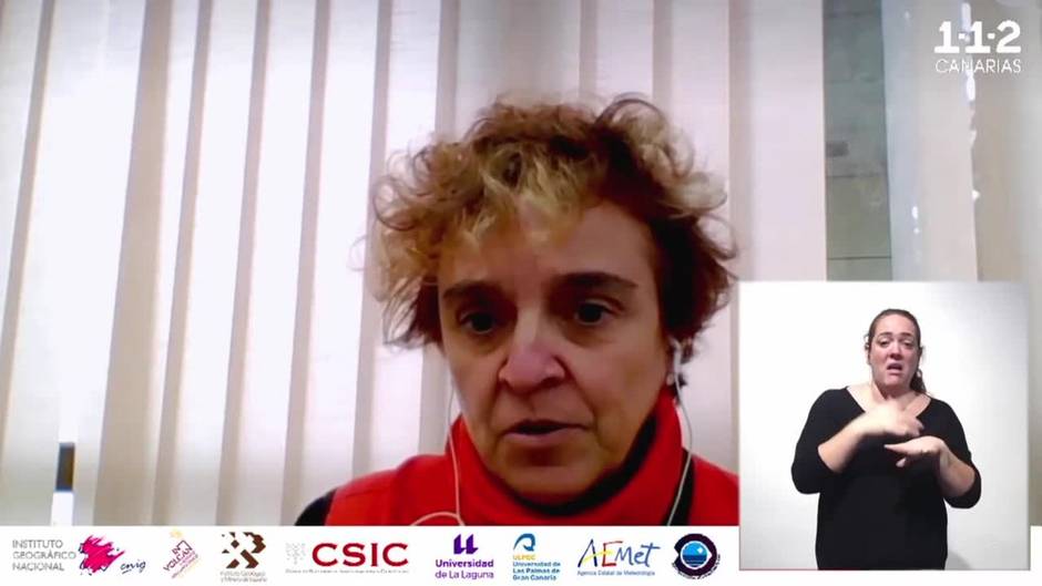 Blanco (IGN) admite que la erupción en Cumbre Vieja "está detenida"