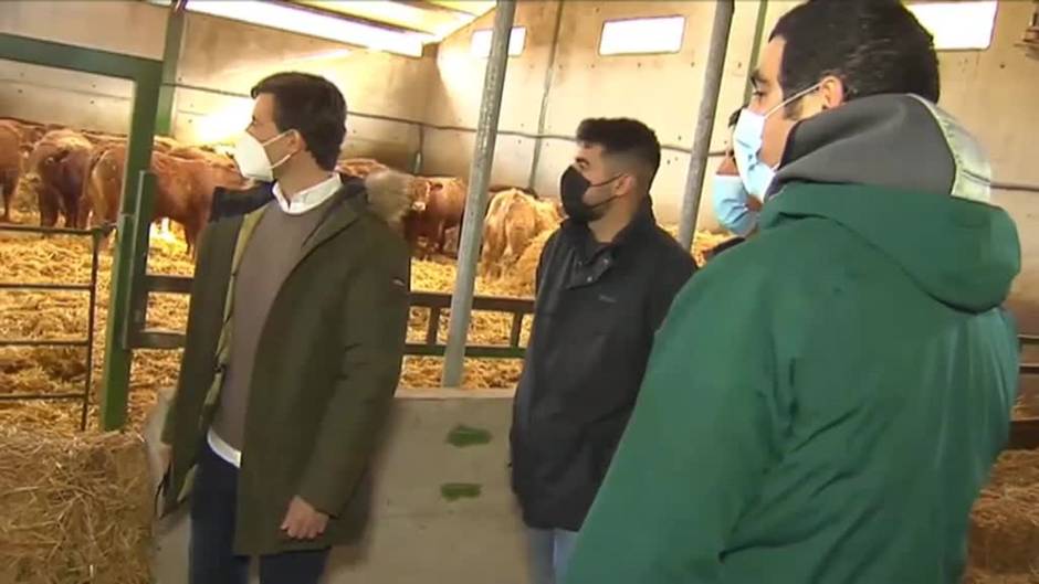 La polémica de las macrogranjas eclipsa el arranque de la precampaña electoral en Castilla y León