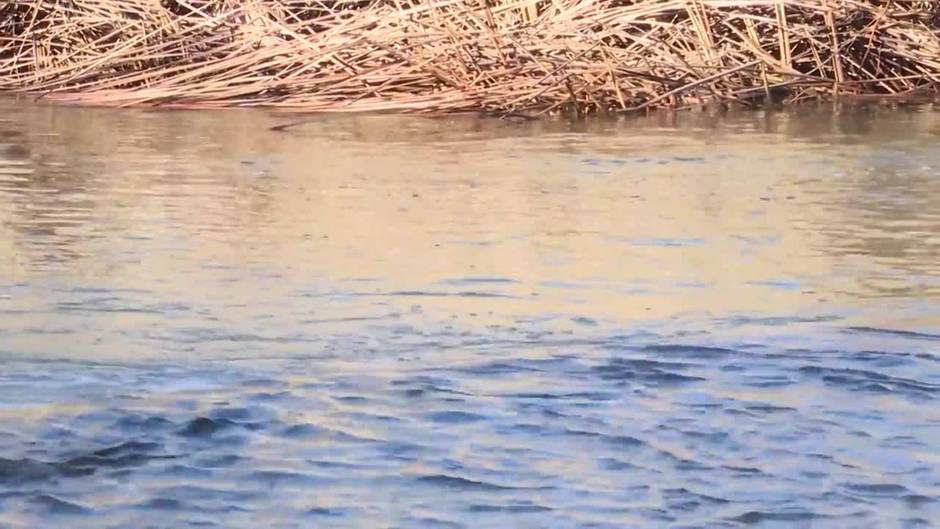 Los GEAS rastrean la presa del río Duero en Traspinedo