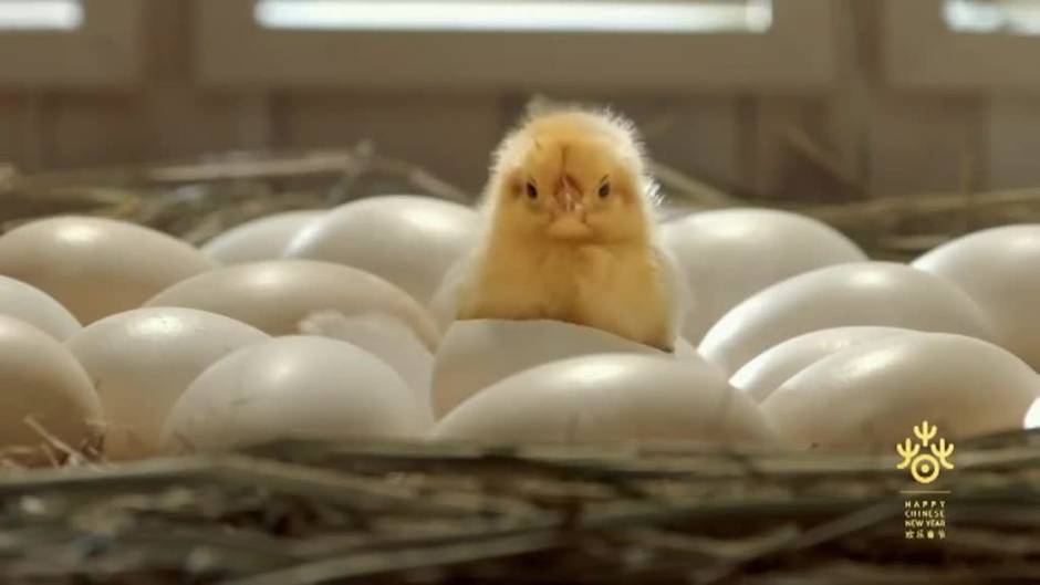 Buenos deseos en Usera, en el año nuevo chino