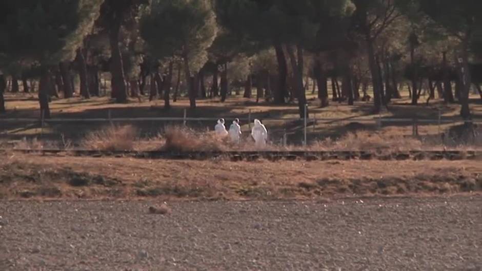 Confirman que el cadáver hallado en Traspinedo es el de Esther López