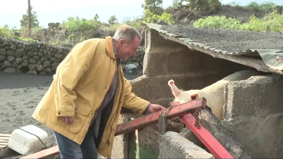 La isla de La Palma tras la erupción del volcán: memoria, la resiliencia y reivindicación