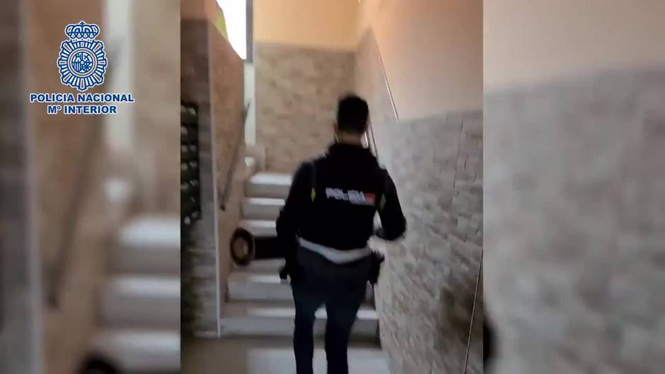 Desarticulados dos clanes dedicados al cultivo y suministro de marihuana en Madrid