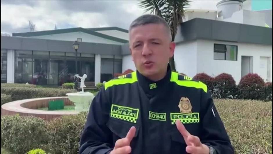 Encuentran 140 tarántulas escondidas bajo juegos de mesa