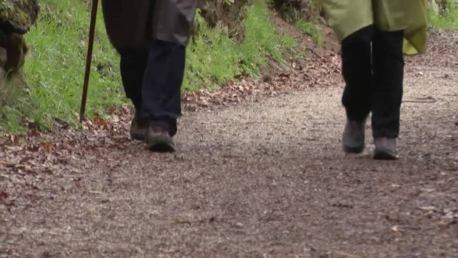 Contacto con la naturaleza, deporte y valores: hacer el Camino de Santiago con niños suma adeptos