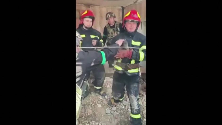 Rescatan un cachorro bajo los escombros de una vivienda en Ucrania