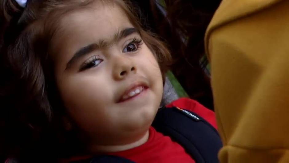 Terapias con perros para ayudar a los niños con daños cerebrales