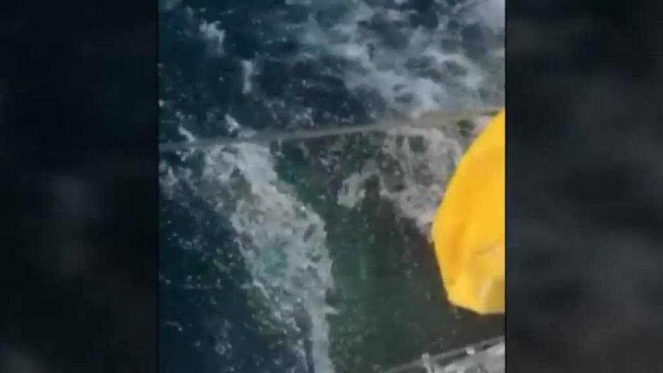 Nuevo ataque de una manada de orcas a un velero en Cádiz