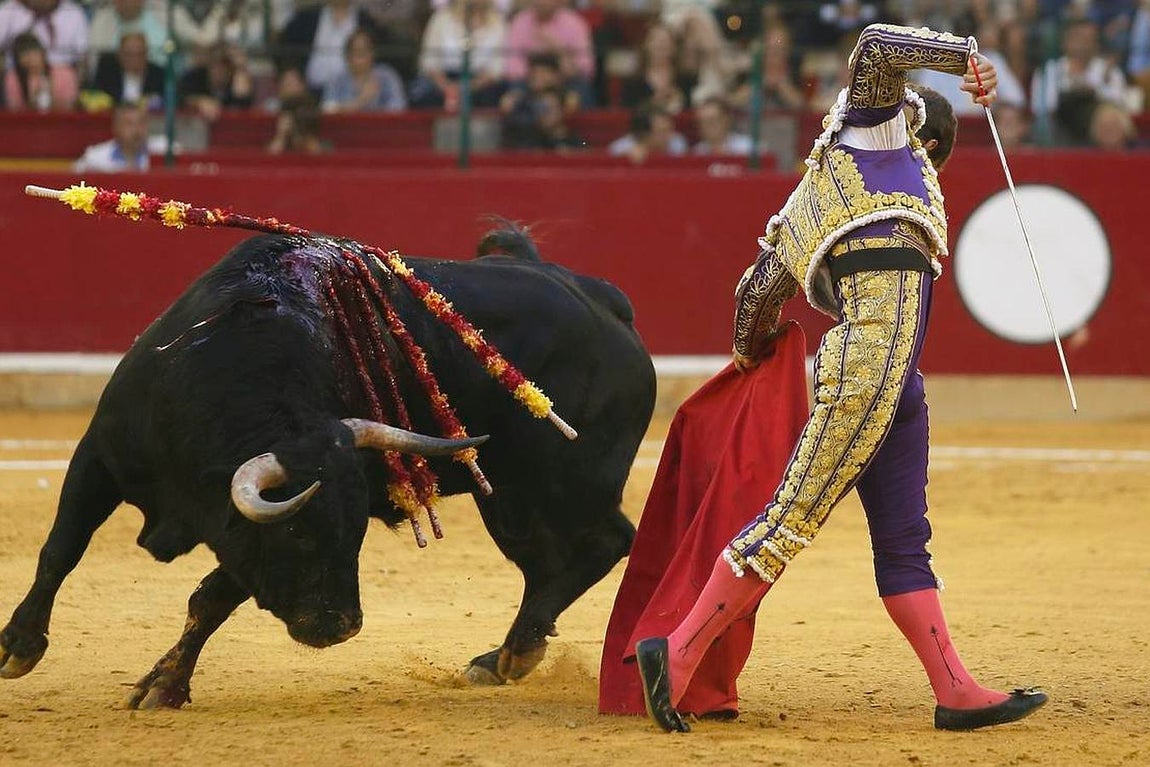 La gran temporada de El Juli