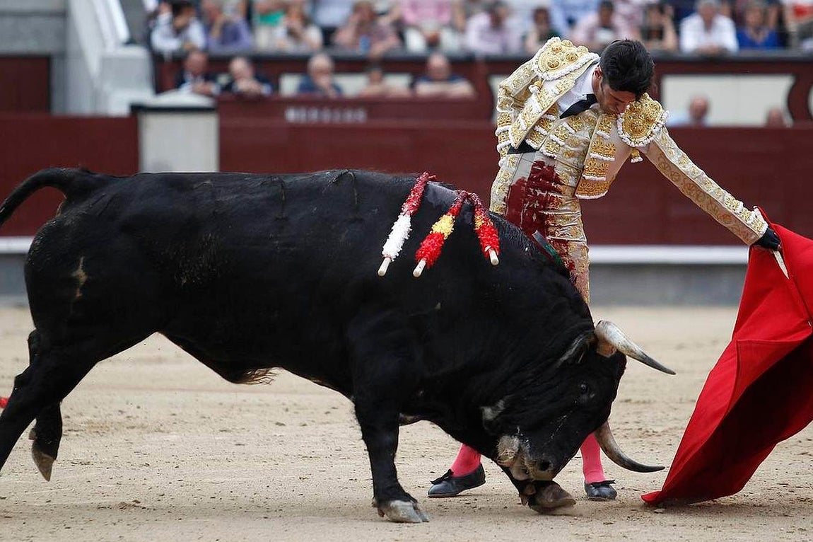 El año mágico de Talavante