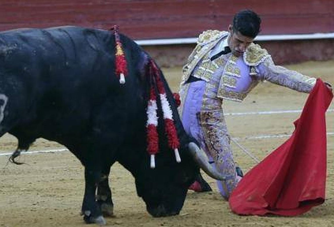 El año mágico de Talavante