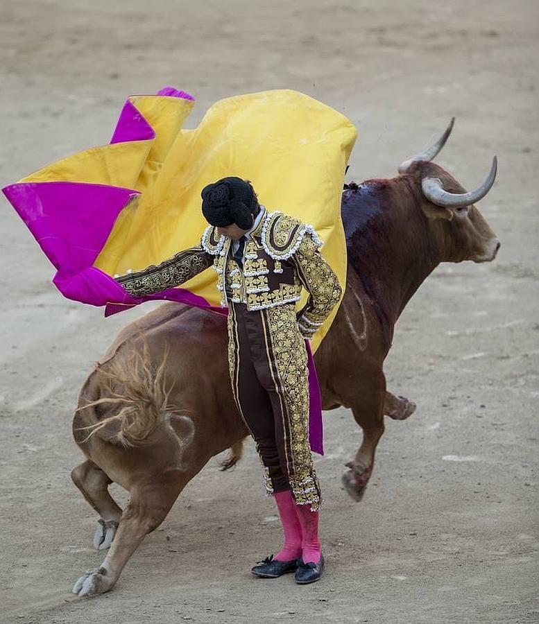 La temporada fantástica de Sebastián Castella, con cumbre en Madrid, foto a foto