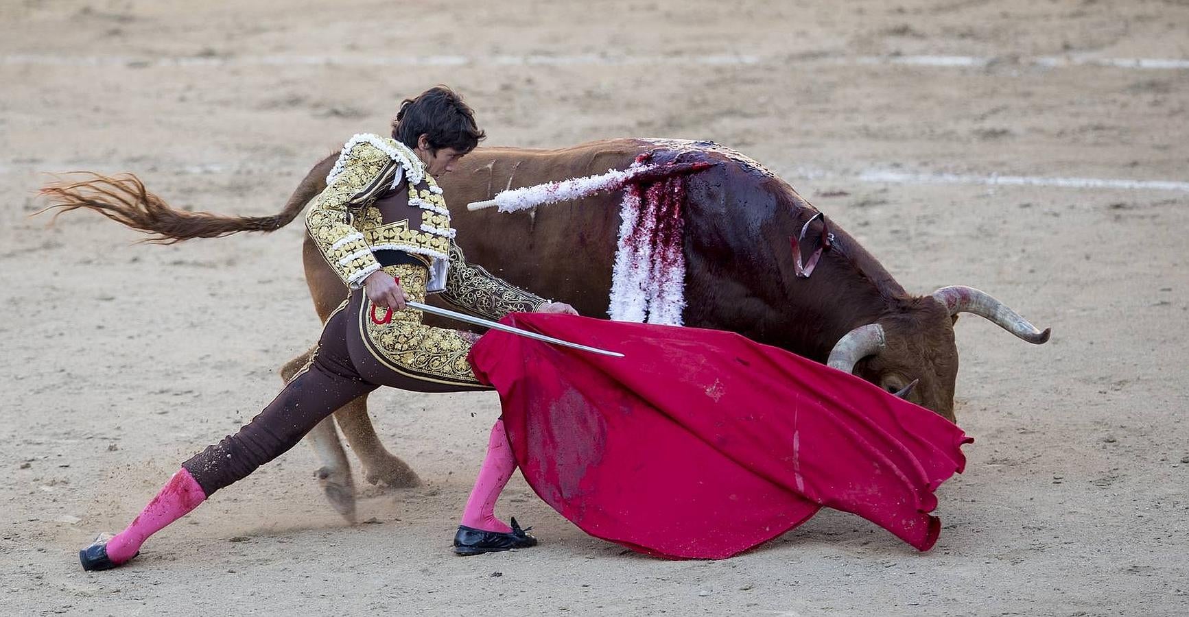 La temporada fantástica de Sebastián Castella, con cumbre en Madrid, foto a foto