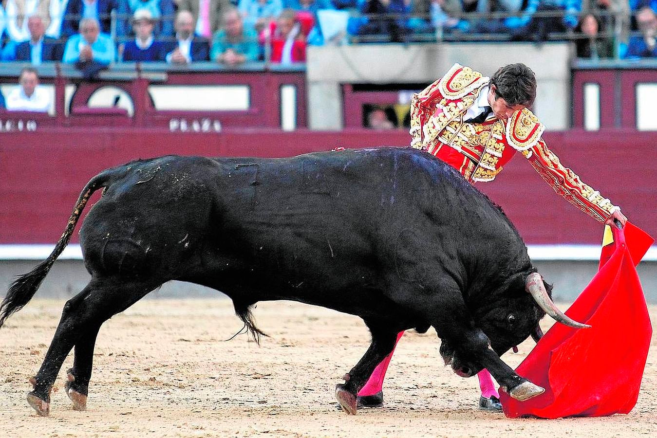 La temporada fantástica de Sebastián Castella, con cumbre en Madrid, foto a foto