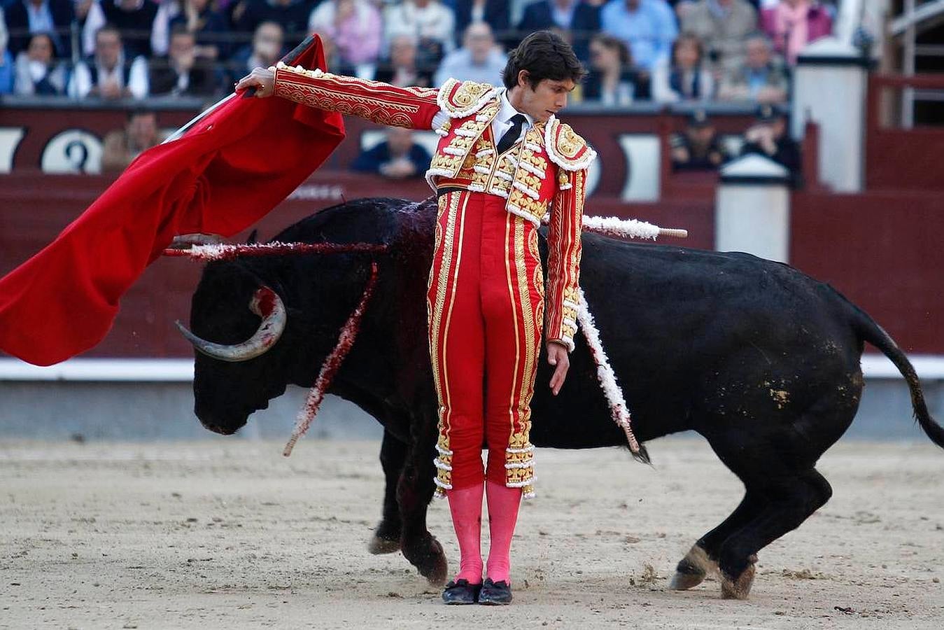 La temporada fantástica de Sebastián Castella, con cumbre en Madrid, foto a foto