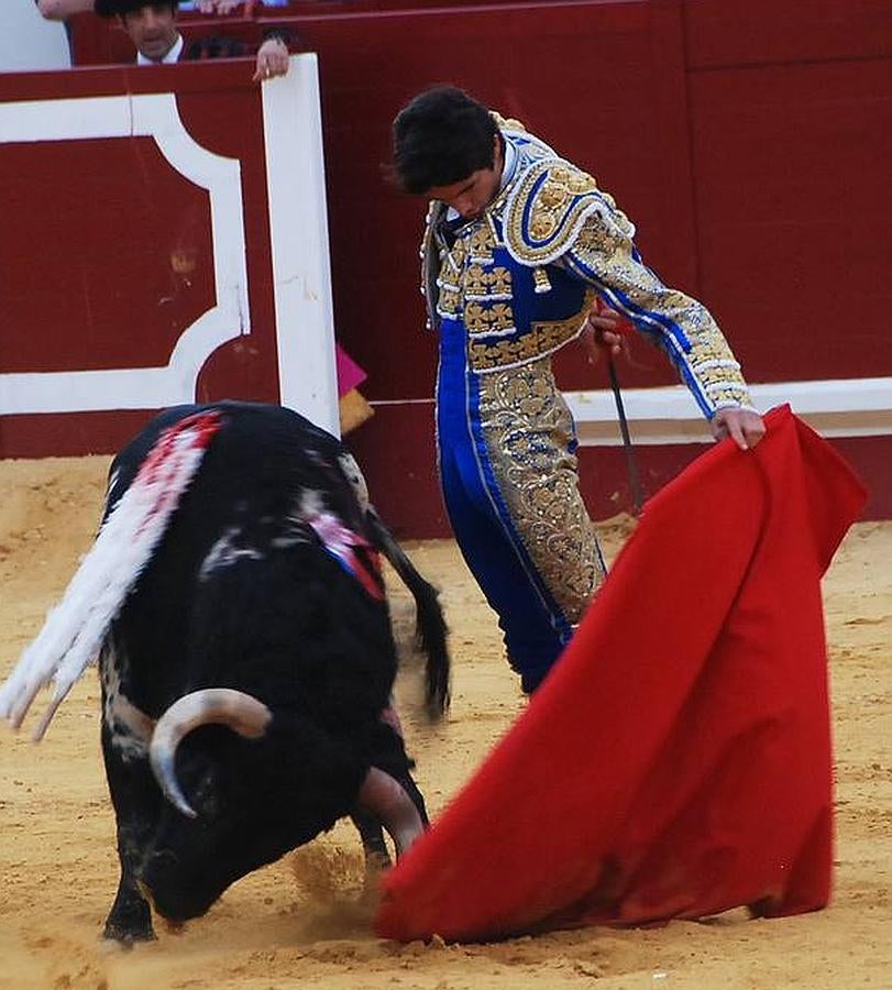 La temporada fantástica de Sebastián Castella, con cumbre en Madrid, foto a foto