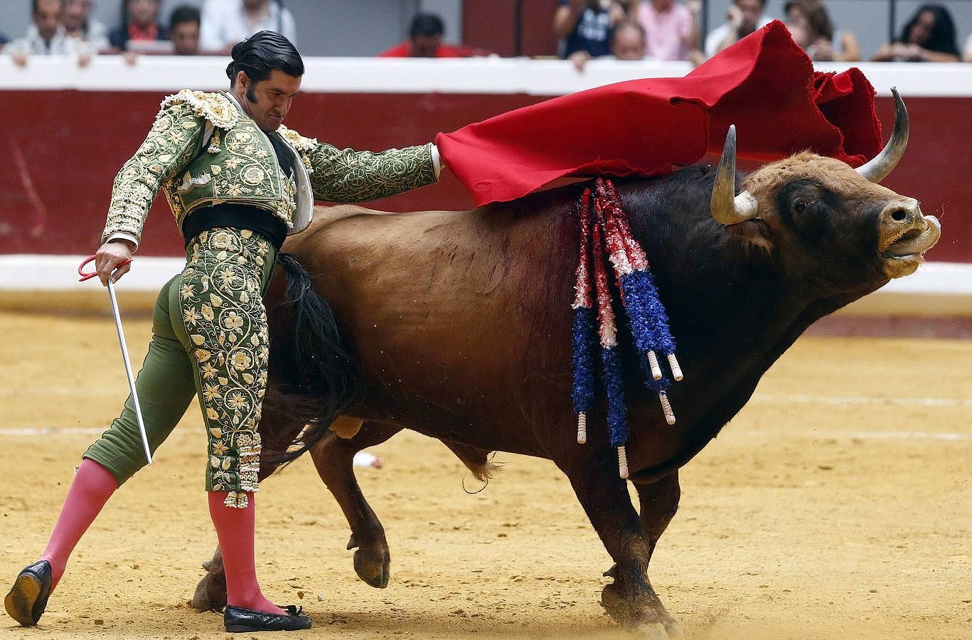 La cosecha 2015 de Morante, foto a foto