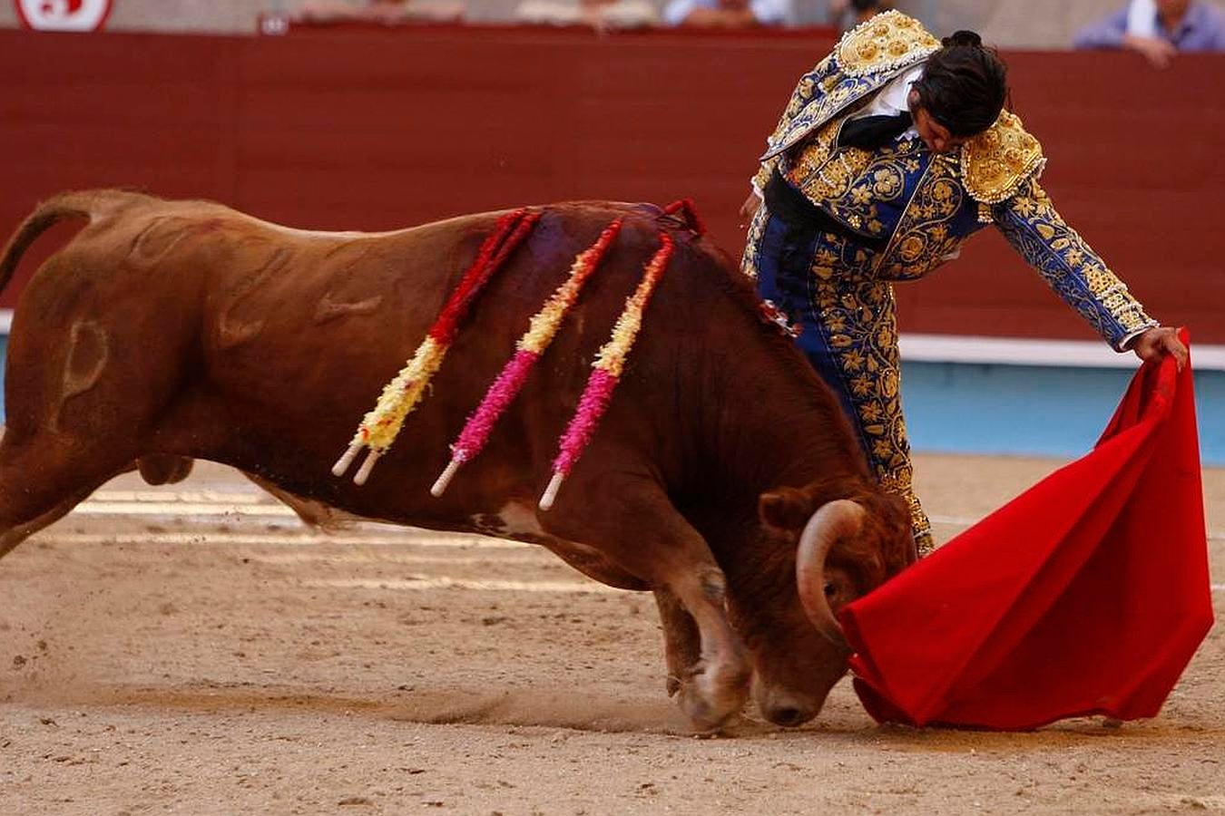 La cosecha 2015 de Morante, foto a foto