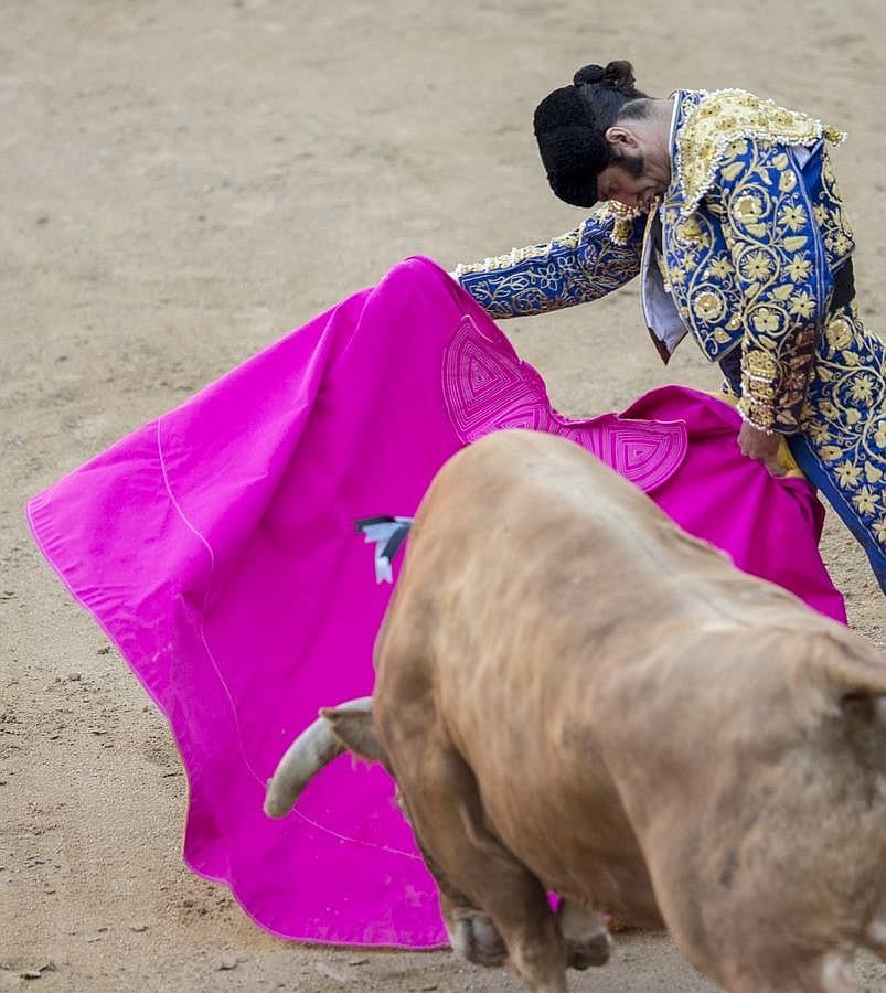 La cosecha 2015 de Morante, foto a foto