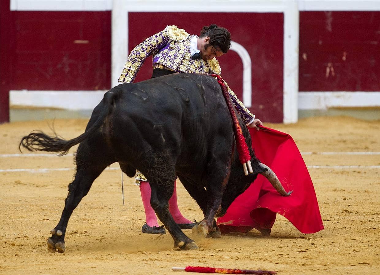 La cosecha 2015 de Morante, foto a foto