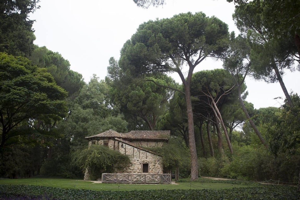 16. El abejero esconde un auténtico tesoro: sus 80 colmenas son visibles a través de unos cristales que permiten ver a las abejas en plena labor